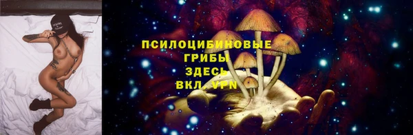 ПСИЛОЦИБИНОВЫЕ ГРИБЫ Беломорск