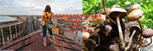 мескалин Заводоуковск