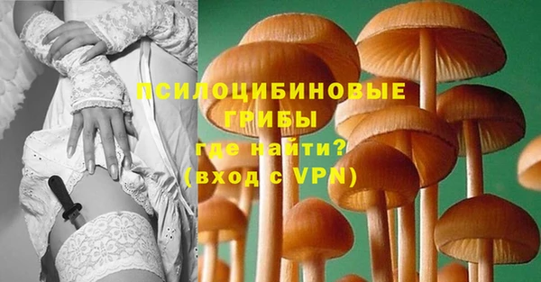 ПСИЛОЦИБИНОВЫЕ ГРИБЫ Беломорск