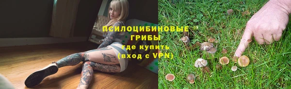 ПСИЛОЦИБИНОВЫЕ ГРИБЫ Беломорск