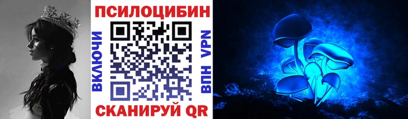 Галлюциногенные грибы мицелий  цена наркотик  мега зеркало  Вельск 